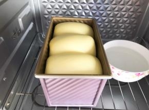 发酵至9分满