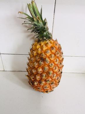 准备好一个熟透的大菠萝！