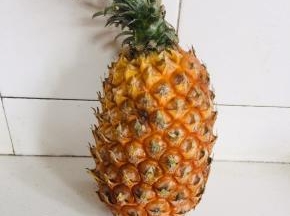 准备好一个熟透的大菠萝！