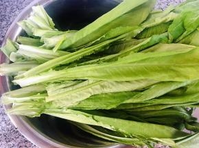 新鲜的油麦菜摘好洗净