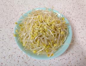 黄豆芽洗干净控一下水分。