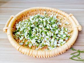 把槐花的根与叶片挑选出来择干净。