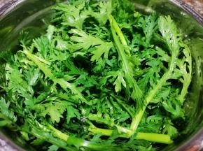 将茼蒿拆洗干净。