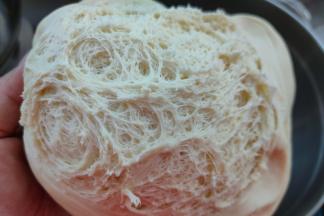 种面团发酵至三倍大左右，发酵好的面团拉开里面的面团状态为蜂窝状。（冰箱冷藏温度不同，种面团发酵有可能达不到3倍大，这属于正常现象）