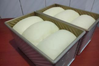 发酵到吐司盒的8-9分满。