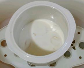 花胶纯牛奶一起放入电炖盅。
