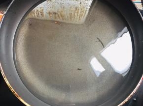 锅清洗干净，放入水！