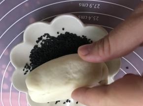沾上黑芝麻