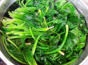 焯好水的菠菜立即放入冷水中过凉洗净沥干水份