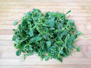 洗干净控一下水分。