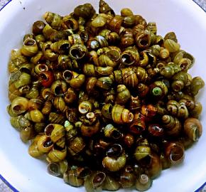 田螺洗净沥干水分