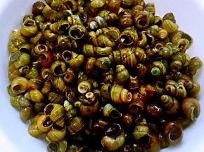 田螺洗净沥干水分