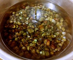 田螺在盐水中浸泡半小时洗净沥干水份