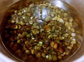 田螺在盐水中浸泡半小时洗净沥干水份