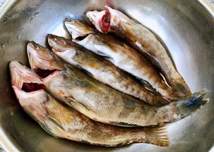 处理好的黄鱼洗净沥干水份备用