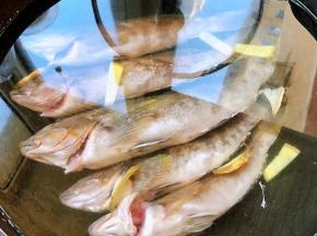 黄鱼放入锅中添加适量清水大火煮起来