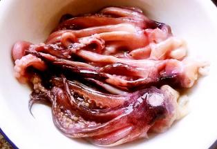 新鲜的鱿鱼须处理好洗净