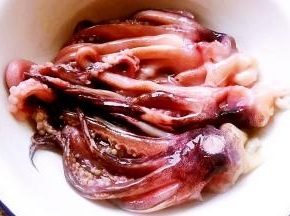 新鲜的鱿鱼须处理好洗净