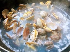 花蛤煮至完全张开大口即可
