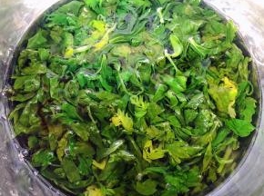 芹菜叶摘好洗净放入开水中焯水断生即可立即捞出放入冷水中过凉后沥干水份