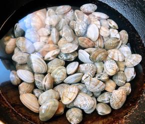 花蛤放入锅中添加适量清水大火煮起来