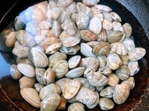 花蛤放入锅中添加适量清水大火煮起来