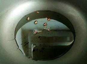 起锅热油，放入几粒花椒炸出香味。