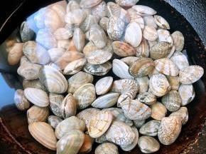 鲜活的花蛤买回来在盐水中浸泡半小时吐沙子再清洗干净锅中放入清水倒入蚬子大火煮起来