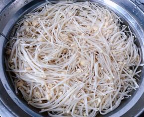 金针菇摘成独立一根一根的放入开水中焯水煮熟后立即放入冷水中过凉沥干水分