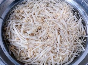 金针菇摘成独立一根一根的放入开水中焯水煮熟后立即放入冷水中过凉沥干水分