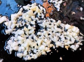 锅中放入底油加热后放入蒜粒爆香