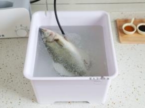 把鱼洗干净，尤其是肚子里的黑膜，会让鱼变腥，我用优食的净食机清洗，手不沾水，只要几分钟就可以把里面的脏东西清洗干净。