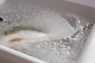 这是洗好的鱼，水里全是油油腻腻的泡沫，看起来太脏了。