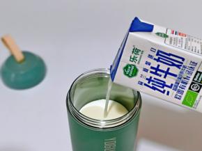 消毒后的酸奶杯将水分擦干，加入纯牛奶。