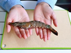 处理好的虾看起来特别干净。