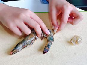 将虾背部的虾皮去掉。