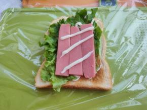 吐司上涂抹一点色拉酱，铺上生菜、香肠片，再挤上少许色拉酱。