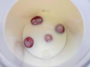 加入原味酸奶。