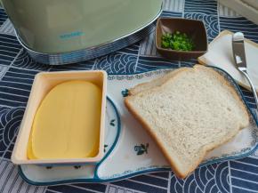 准备好所需食材，小葱切碎，只取葱绿部分。