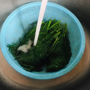 过凉水，挤干水份备用！