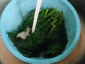 过凉水，挤干水份备用！