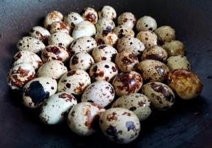 鹌鹑蛋放入锅中，