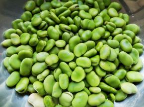 看一下这是剥好的豆子。