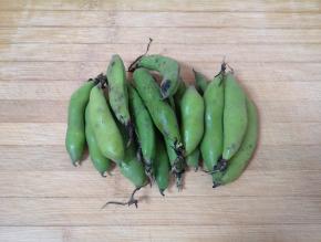 看一下新鲜的蚕豆。