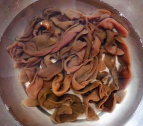 新鲜的海肠剪去两端去除内脏洗净