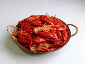 焯水的小龙虾冲冷水，再用干净的牙刷把虾依次刷干净。