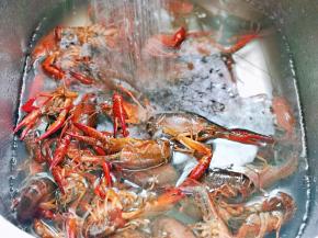 清洗小龙虾啦！倒入水池里，加入一把面粉，泡10分钟，之后再反复冲洗多遍，水清澈即可，小龙虾的虾线我请阿姨帮忙拉好的～建议大家这一步一定不要省略。