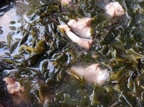 泡好的海带放入排骨汤中大火煮起来