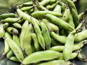 买回来的蚕豆是带皮的。