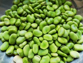 看一下这是剥好的蚕豆。